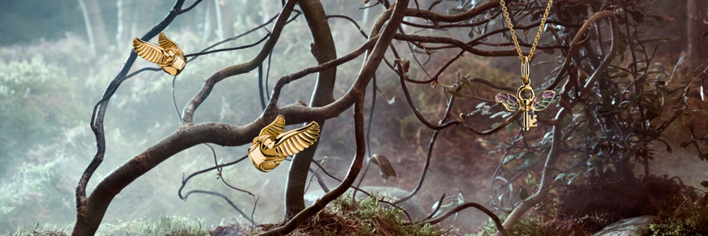 Harry Potter x Pandora