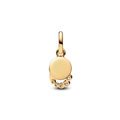 Pandora Hook Dangle Charm
