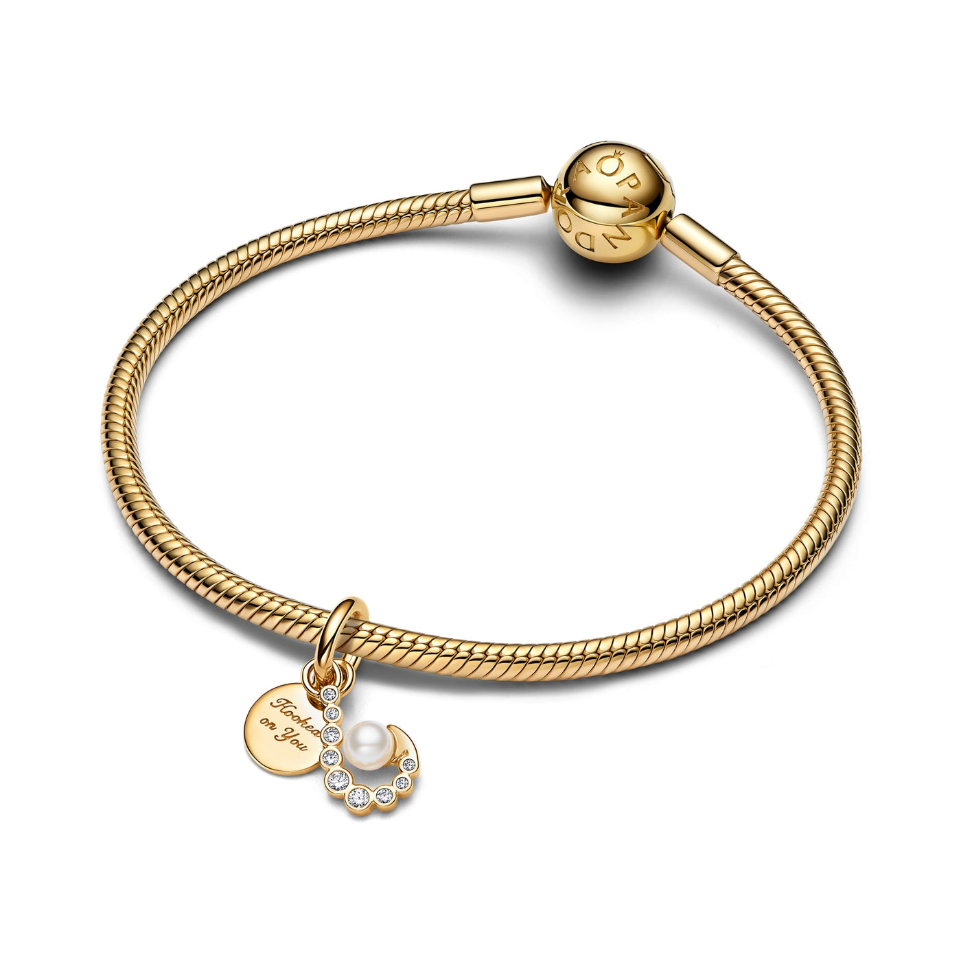 Pandora Hook Dangle Charm