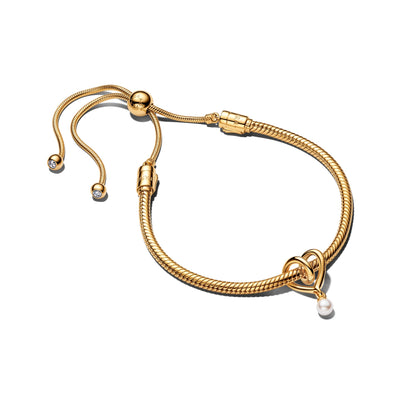 Pandora Golden Heart Bracelet Gift Set