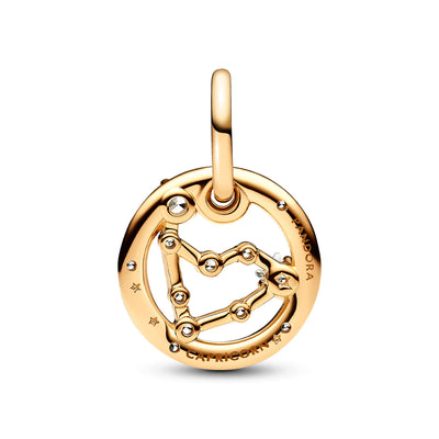 Capricorn Zodiac Dangle Charm