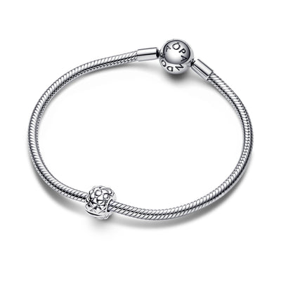 Pandora Studded Clip Charm