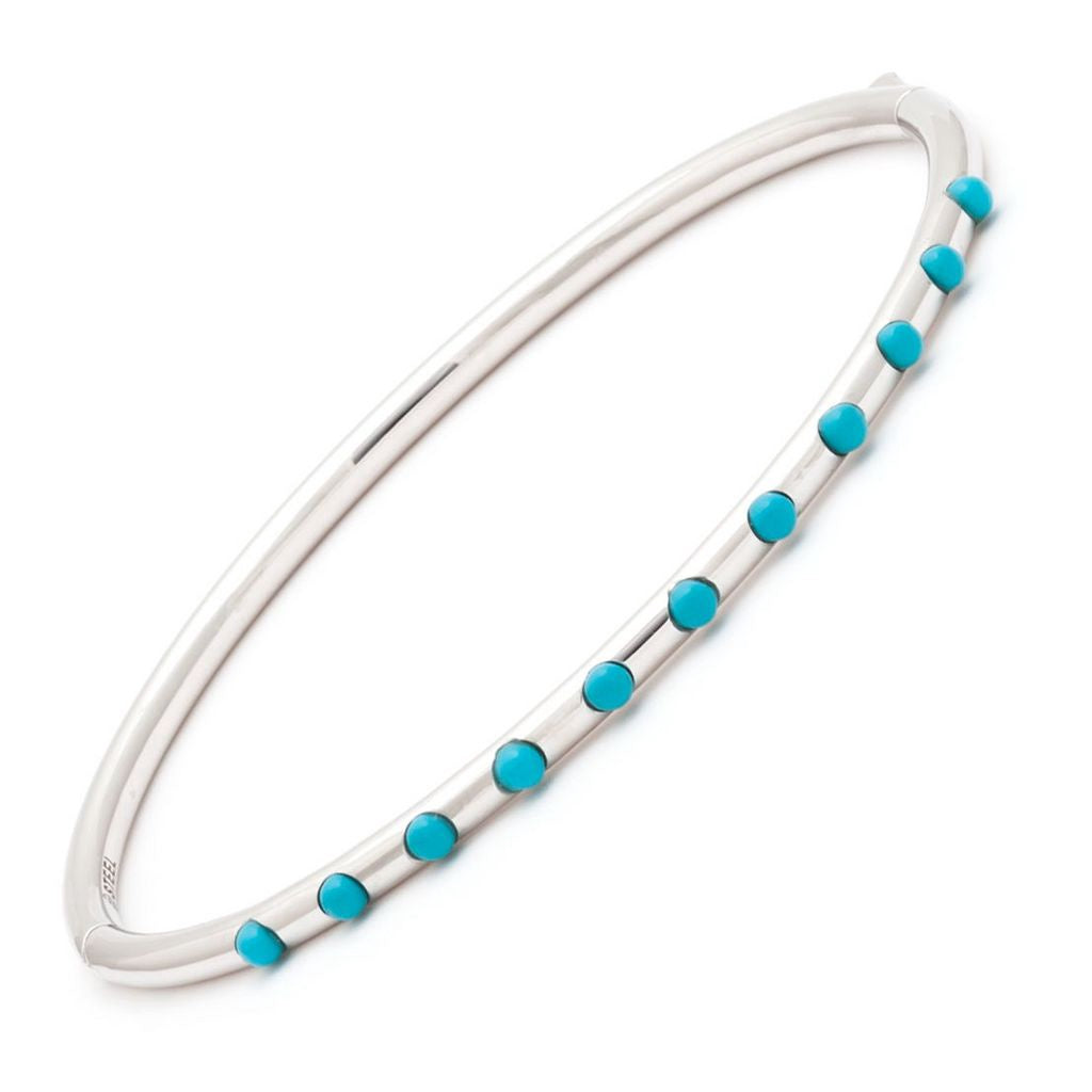 Stainless Steel w/ Turquoise Bangle